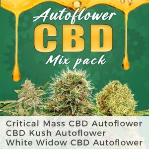 Autoflower CBD Seeds Mix Autoflower CBD Seeds Mix