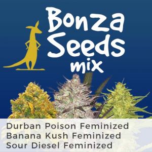 Bonza Feminized Seeds Mix