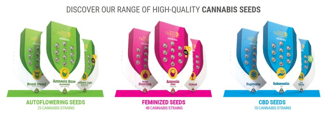 Royal Queen Seeds For Sale Online