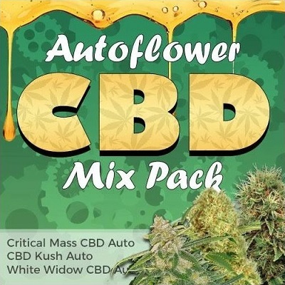 Autoflower CBD Medical Seeds Mix