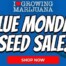 Blue Monday Marijuana Seeds Giveaway