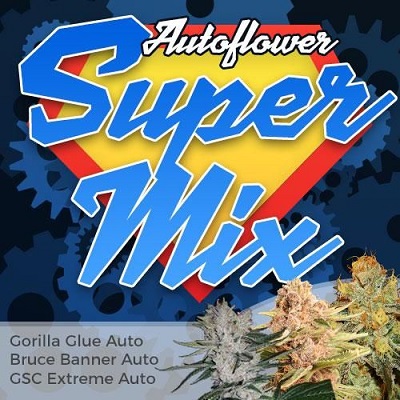 Super Mix Indoor Autoflowering Seeds