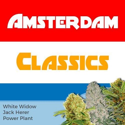 Amsterdam Cannabis Seeds Mix