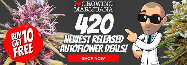 Shop All 420 Autoflowering Seed Deals