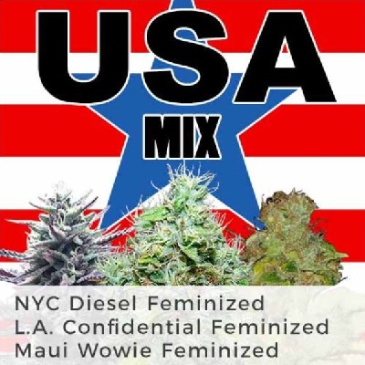 USA Feminized Cannabis Seeds Mix