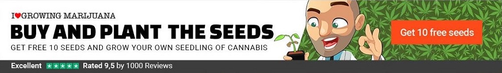 Free Guide How To Grow Cannabis Seeds