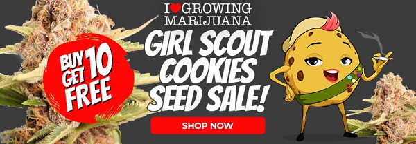 Shop All Girl Scout Cookies Extreme Seed Deals