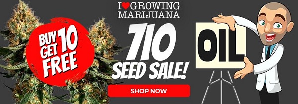 Shop all buy 10 get 10 free Marijuana Seeds in the 710 sale