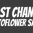 Buy Autoflowering Seeds In The End Of Season Sale