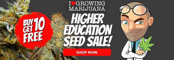 Shop All Higher Education Cannabis Seed Deals
