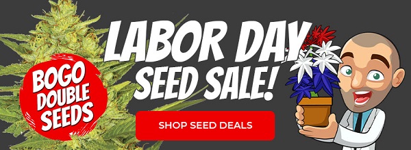 Shop All Labor Day Cannabis Seed Deals