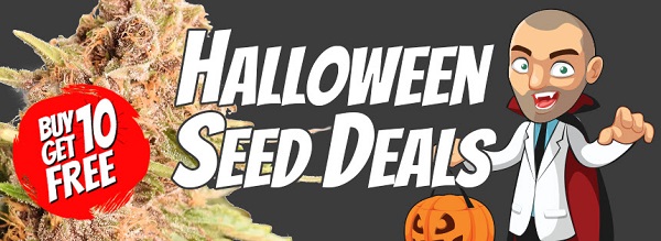 Halloween Offers - Free Cannabis Seed Deals