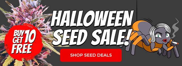 Shop All Cannabis Seeds In The Halloween Sale