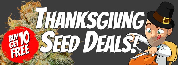 Thanksgiving day sermon Thanksgiving day sermon