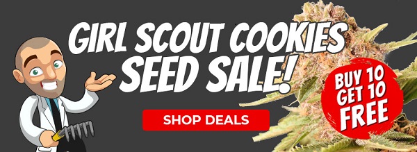 Girl Scout Cookies Extreme Cannabis Seeds Promotion