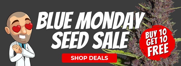 Shop All Blue Monday Seed Deals
