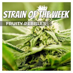 Fruity Pebbles Cannabis Seeds For Sale