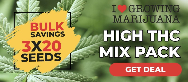 Mixed Cannabis Seeds For Sale