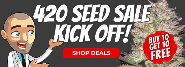 420 Cannabis Seeds Promotion