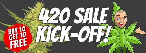 420 Marijuana Seeds Sale 2023