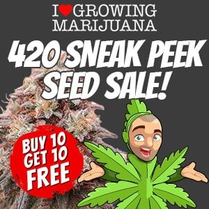 ILGM 420 Sneak Peak Seed Sale