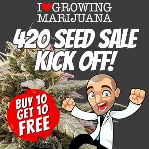 ILGM Seeds 420 Deals