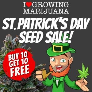 ILGM St. Patrick's Day Seed Sale