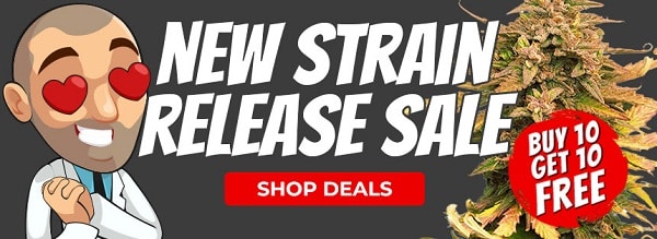 Shop All Strains In The 2023 New Seeds Release Sale