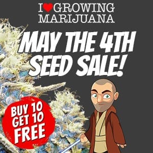ILGM May 4th Seed Sale