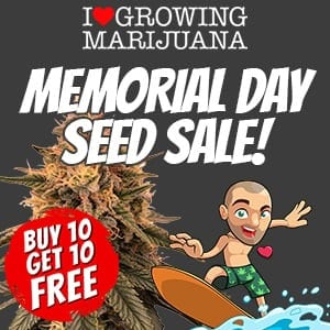 ILGM Memorial Day Seeds Sale