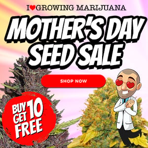 ILGM Mothers Day Seed Sale