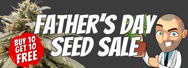 Father's Day Marijuana Seeds Promotion
