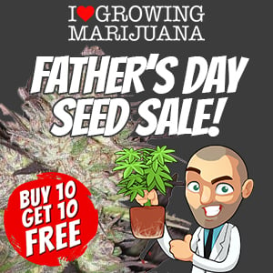 ILGM Seed Bank Father's Day Deals
