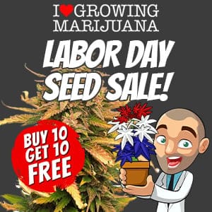 ILGM Labor Day Seeds Sale