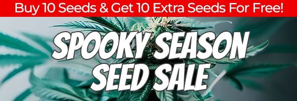 Spooky Season Cannabis Seeds Promotion
